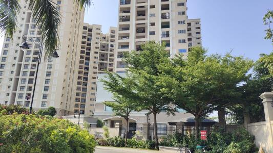 Professional Packers and Movers in Kovilambakkam, Chennai
