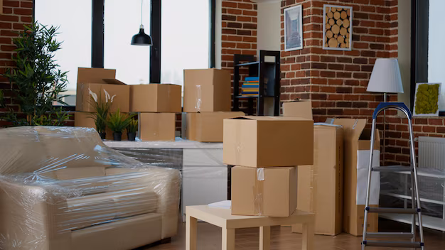 About The Professional Express Relocation Packers and Movers Velachery