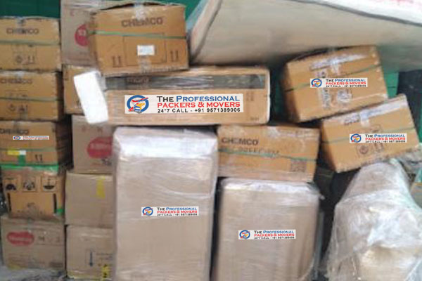 About The Professional Express Relocation Packers and Movers in Thoraipakkam