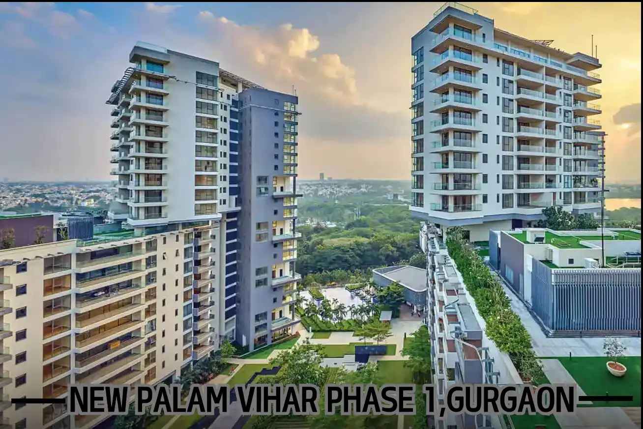 Professional Express Relocation Packers and Movers in Palam Vihar, Gurugram